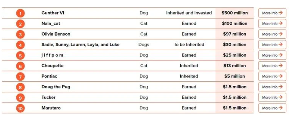 Richest Pets of the World