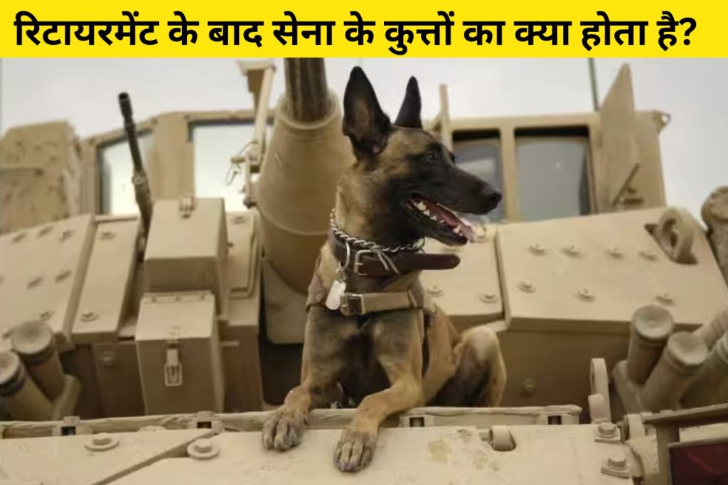 Indian Army Dog