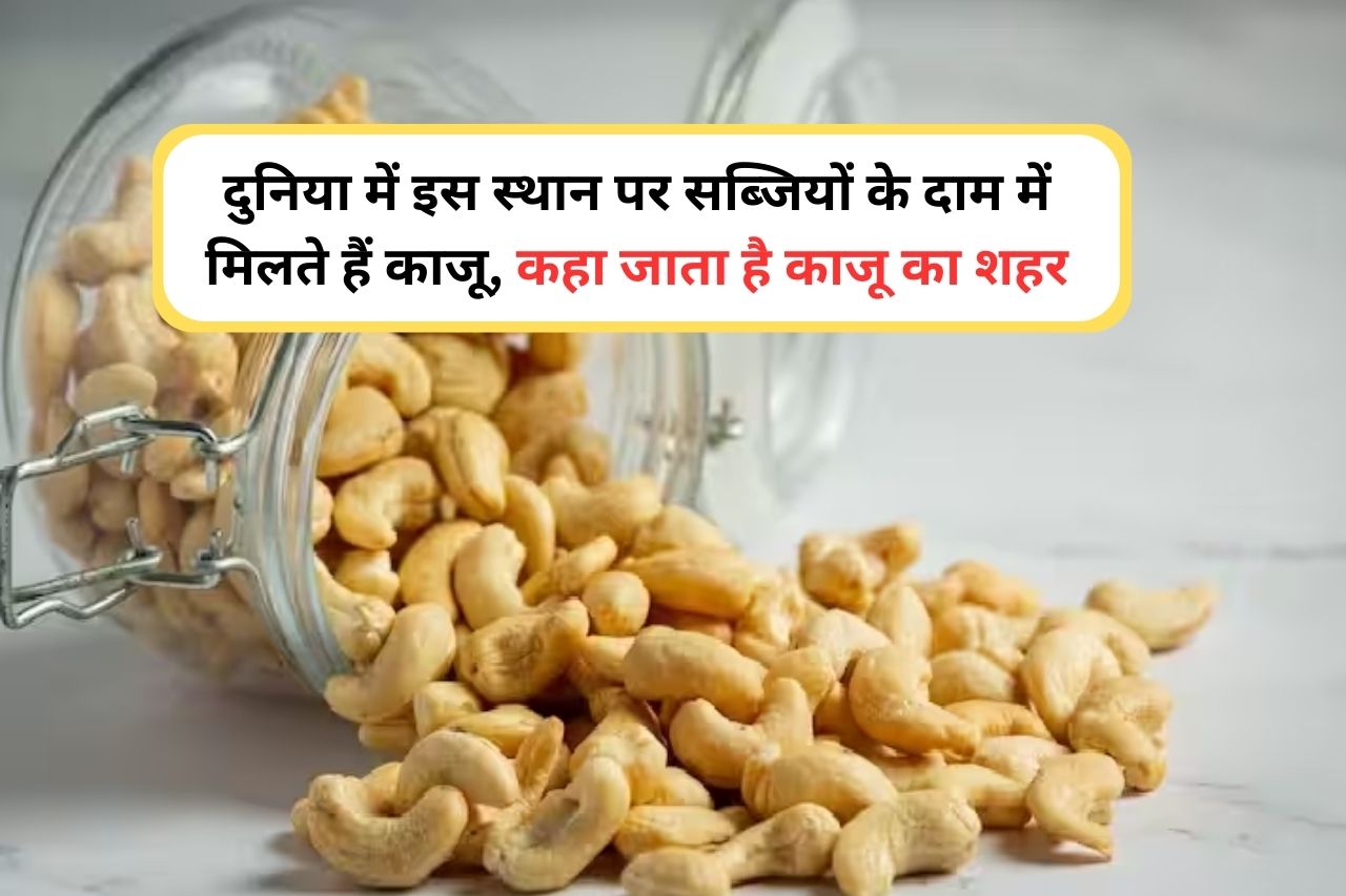 Cheapest Cashew Nuts