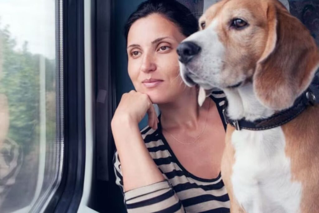 Carry Your Pet in Train