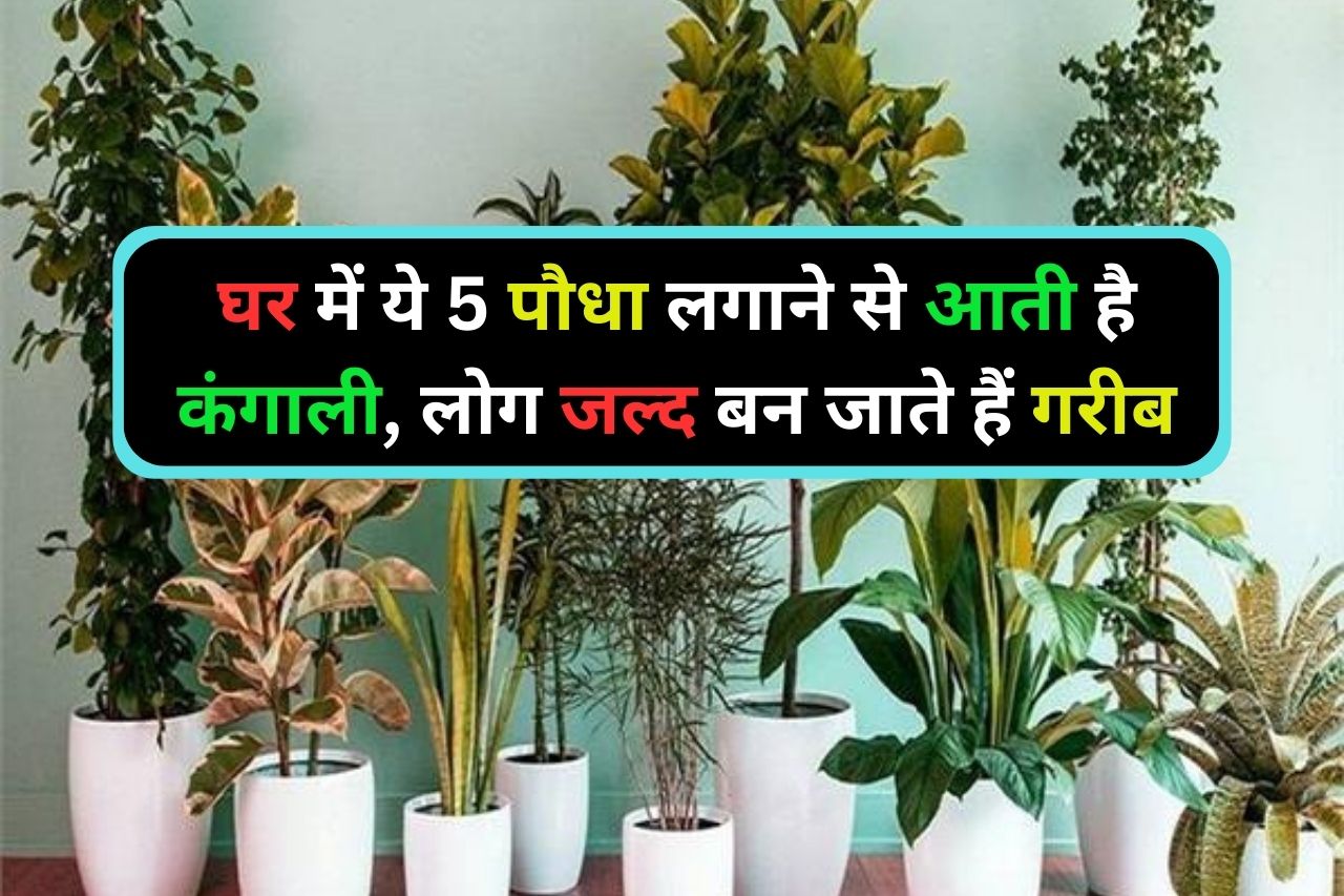 Vastu Tips