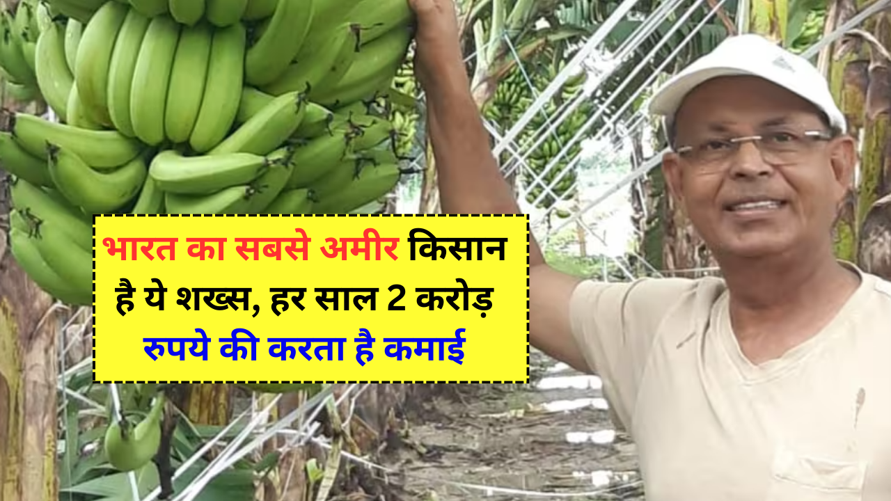 India's richest farmer
