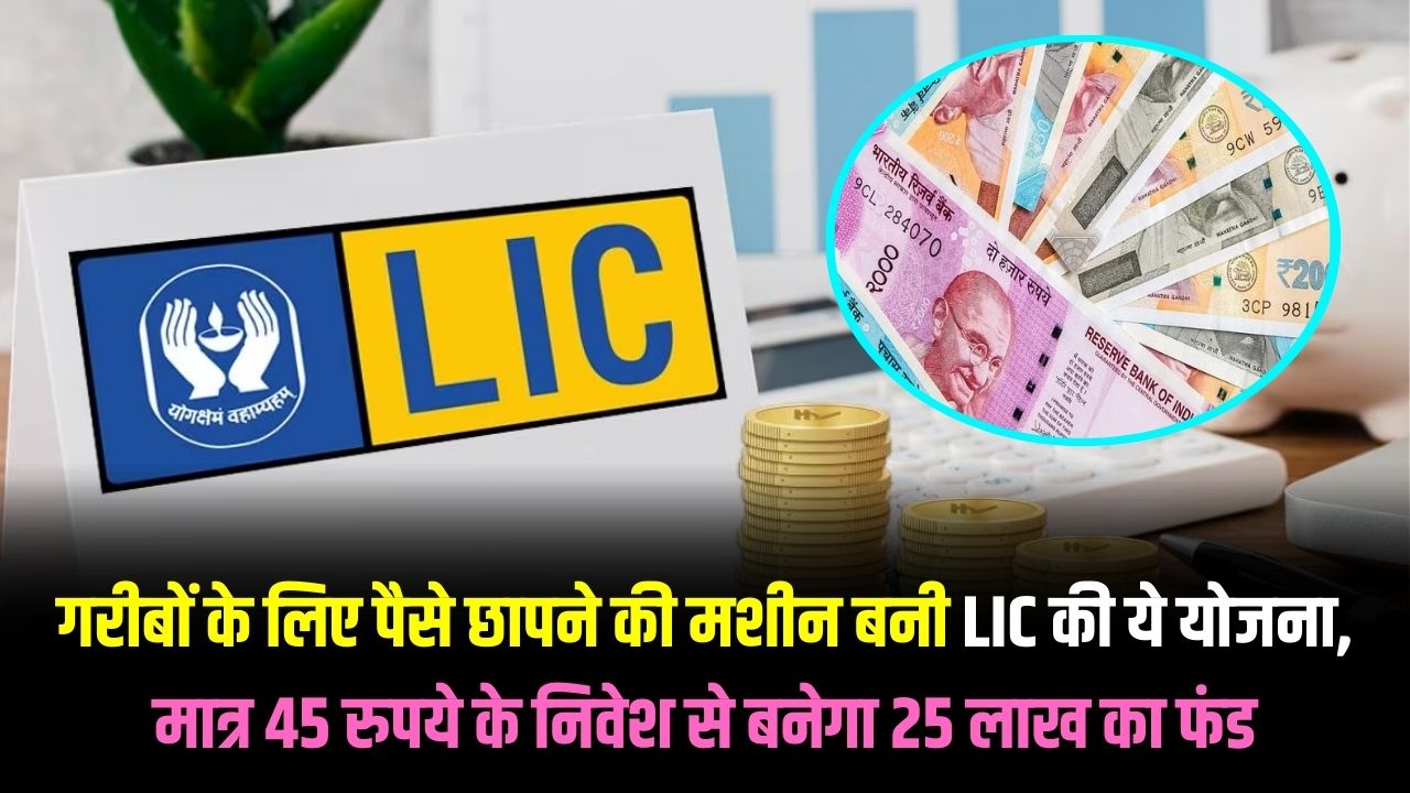 LIC Scheme with Low Investment